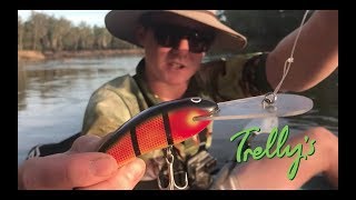 Murray Cod Surface Action Explosive! + Dropped Metery