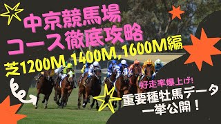 【重要種牡馬データ】中京芝1200m、芝1400m、芝1600m血統傾向分析！オイシイ部分のみに絞って傾向データをご紹介！