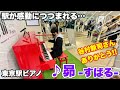 【ストリートピアノ】谷村新司さんありがとう!! 東京駅のピアノで『昴 -すばる-（谷村新司）』を弾いたら、駅が感動につつまれる・・・