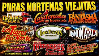 💥PURAS NORTEÑAS VIEJITAS MIX 🔥Puros Clásicos | Tigres, Tucanes, Ramón Ayala ,Invasores, Cardenales