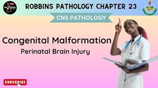 CONGENITAL  MALFORMATIONS  AND  PERINATAL  BRAIN  INJURY | Neural Tube Defects,CNS pathology