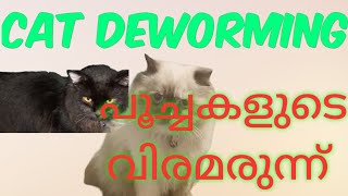 #പൂച്ചകളുടെ #വിരമരുന്ന് എപ്പോൾ കൊടുക്കണം #cat #deworming