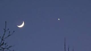 Moon Waxing Crescent \u0026 Venus Visible, Sat. Feb. 1, 2025 #moon #moonwaxingcrescent