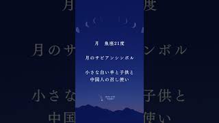 3月10日魚座新月、サビアンシンボルからあなたへ必要なメッセージ　#開運 #メッセージ #スピリチュアル #占い