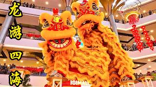 龙的传人龙狮体育会 - 之 - 2025 迎春舞狮 @ 蒲种 IOI Mall / 2025 Pre-CNY Acrobatic Lion Dance @ IOI Mall Puchong