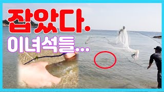 바다투망에 300마리? 필요없구 큰녀석 나와. 왔냐? 잡았다 이녀석들.../캠핑/차박/낚시/투망던지는법/cast net/fishing/throw castnet/pesca