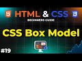 CSS Box Model: Margin, Padding, and Border | HTML and CSS Beginners Guide | IMS Coding