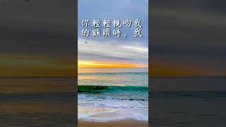 每日一句愛情語錄 浪漫愛情語錄分享 心動的愛情句子 愛的名言 EP 33 #shorts #浪漫 #心動 #自我治癒 #感情語錄