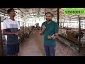 कैसे भेड़ पालन 🐏से हुए करोड़पति 1000 जानवरों के है मालिक 😇 sheep farming at bangalore