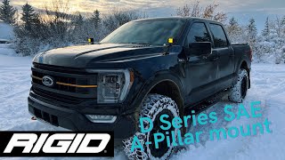 A pillar mount RIGID Industries D series Off-road Lights on F150 TREMOR