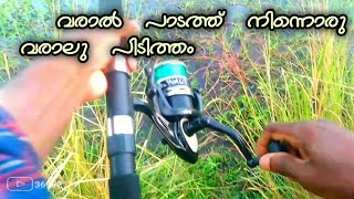 369JP#youtube#malayalam #fishing#videos #subscribe#youtuber#india,