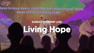 Living Hope(예수 나의 참 소망) | 뉴송워십 | SUNDAY WORSHIP LIVE.