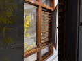 New wooden color aluminum window