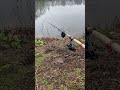 CARP RUN - FOX Rx+ carp - #fishing #10million #carpfishing