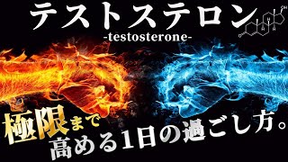 【5年間続けて分かった13の手順】テストステロン \