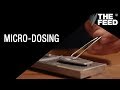 Micro-dosing: Saving Lives with Psychedelics | SBS The Feed