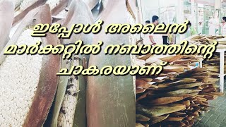 അലൈൻ മാർക്കറ്റിൽ ഇപ്പോൾ നബാത്തിന്റെ കാലം