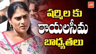 YS Sharmila As YSRCP Rayalaseema Incharge | YS Jagan | AP Elections 2019 | YOYO TV Channel