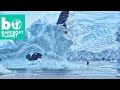 Chill Seekers: Freediving In Antarctica