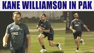 Kane Williamson catching practice in Pakistan | Tri Nation Series