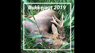 Bukkejagt 2019