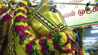 madurai simmakkal peetchi amman kovil