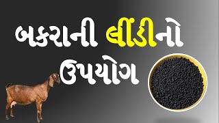 બકરાની લીંડીનો ખેતીમાં ઉપયોગ | છોડના વિકાસ માટે બકરીની લીંડીનો ઉપયોગ