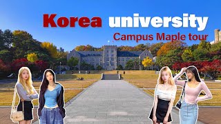 🍁🍂 고려대 캠퍼스 가을 단풍 투어 | Korea University Maple Tour | 4k HDR | KOREA College