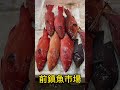 前鎮漁市場23.8.2