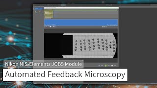 Tutorial | Build Feedback Microscopy Workflows with JOBS, GA3 & Segment.ai in NIS-Elements