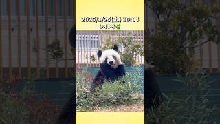 【2025/1/25(土)🌿シャオシャオ＆レイレイ🐼🐼】〜上野動物園〜