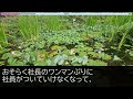 【感動する話】俺を退職に追い込んだ社長「有給休暇取る奴はクビw」転職後→負け犬と見下されるアルバイトのおじさんと出会うと急展開に…半年後→元職場の社長が「戻ってきて！」俺「何言ってんのw」【泣け