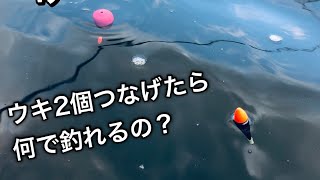 二段ウキ仕掛けが最強な理由を分かりやすく解説♪