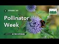 Pollinator Week - From the Woods Today - Episode 109