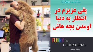 ملاقات با پقی عزیزم  برای بار دوم  این سگ به قدری دوست داشتنی هست که من هر بار کلی ازش لذت  می برم