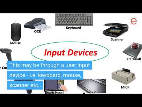 What are the four basic operations of a mouse?