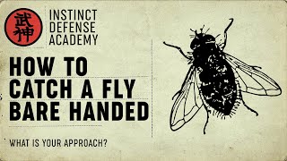 How to catch a fly using your bare hands.