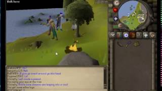 runescape how to get willow trees