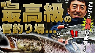 これが最高級の管釣り場！！大自然に囲まれた魚の楽園、朽木渓流魚センター！！