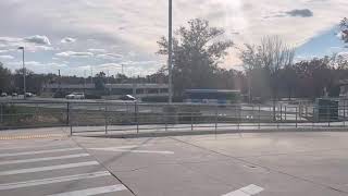 Montgomery County Transit Ride On 2013 \u0026 2009 Gillig Low Floor Advantage Diesels #5034 \u0026 #5008