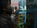 kithu s first nilambur patt part1 experience fish and flower show😍 cutebaby shortsviral