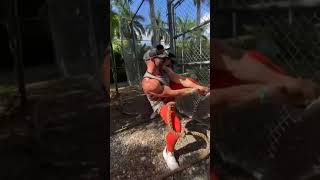 Man vs Tiger | power of man | #shorts #trending #tiger #man #100