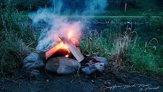 🌈《60 min》【MIDNIGHT】 Campfire(with Crackling sound),Birds chirping,River murmuring\u0026Forest.