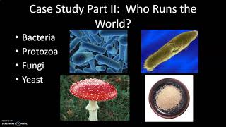 APES, Chapter 3, Lecture 1, 2021