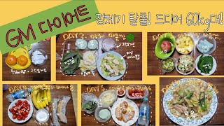 [드디어60kg대 진입!!(-13kg)] 중학교 이후로 앞자리 6자 처음봄😭 GM다이어트로 정체기 뿌시기🔥한달 1kg씩 감량하기 세번째달🎂생일날 배떡먹부림, 그릭요거트 만들어먹기