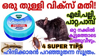 ഒരുതുള്ളി വിക്സ് മതി എലി,പല്ലി,പാറ്റ വീടിന്റെ പരിസരത്തേക്ക് പോലുംവരില്ല|പുതിയ സൂത്രം|get rid of rat