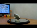 Euler's Disk Euler's Disk
