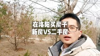 洛阳买房子，新房VS二手房，怎么选？