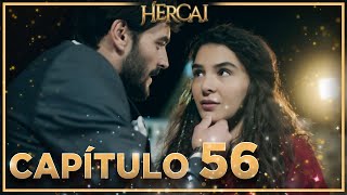 Hercai - Capítulo 56