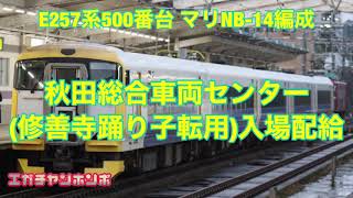 【修善寺踊り子転属最終章】201125 E257系500番台 マリNB-14編成 秋田入場配給/Series E257 NB-14F Delivery to Akita factory.